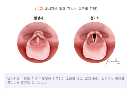 레오보컬스튜디오 이미지