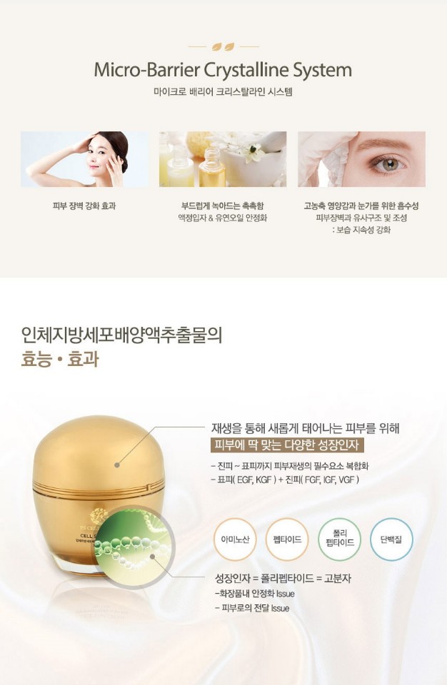 스텝셀 이미지