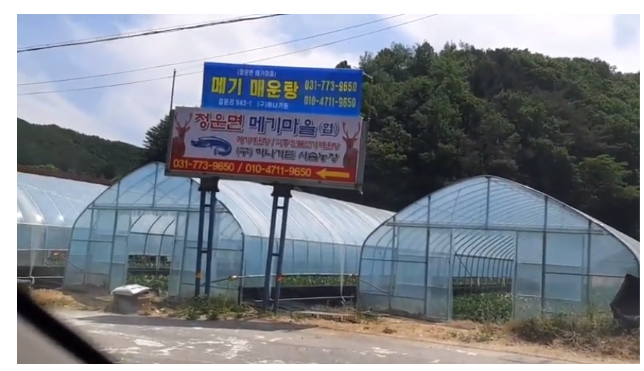청운면메기마을 이미지