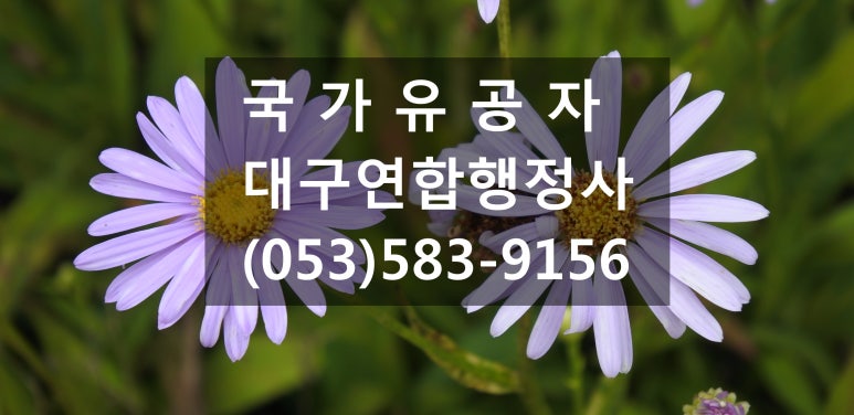 행정사김덕수 이미지