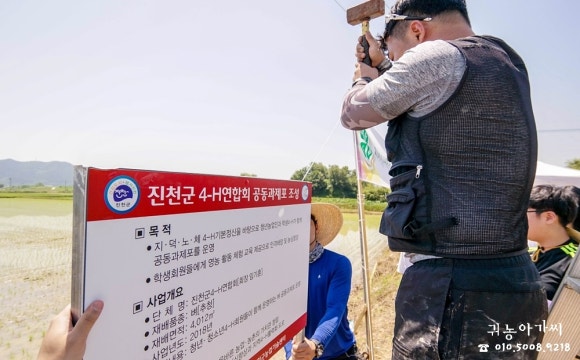 쌀아가씨 이미지