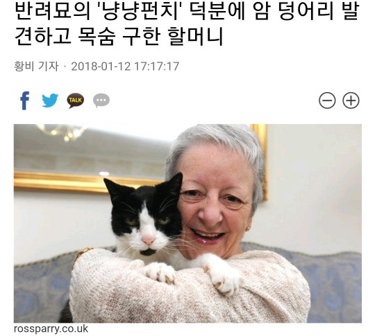 냥냥펀치 이미지