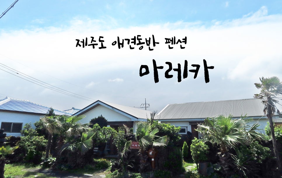 마레카 이미지