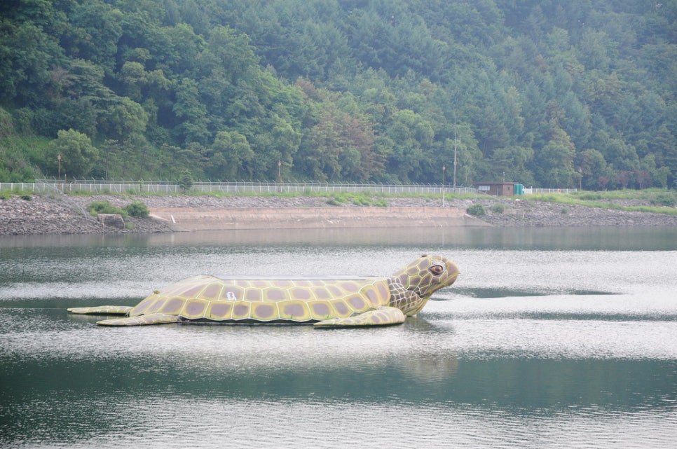 호명관광 이미지