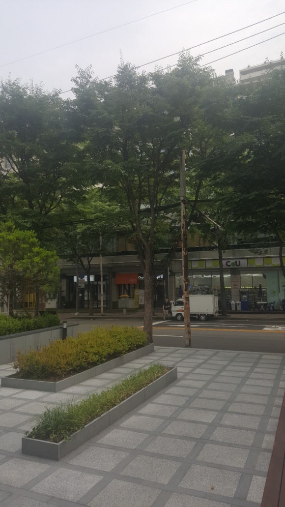 이지논술보습학원 이미지