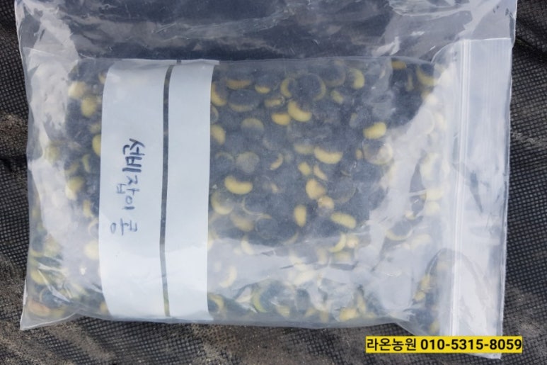 라온농원 이미지