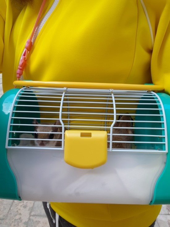 어야가자 이미지
