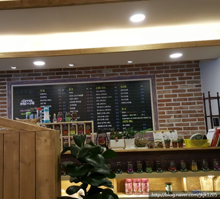 커피허브나무 이미지