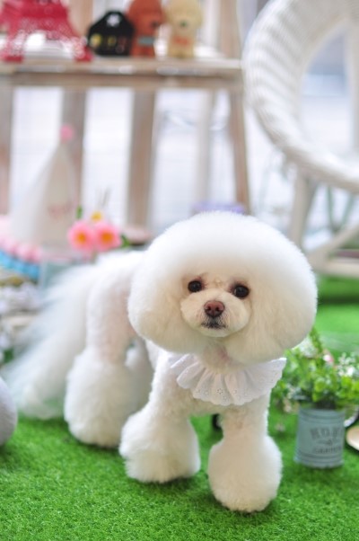 벼리 이미지