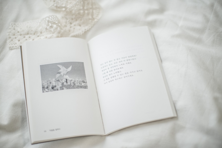 얼라우 이미지