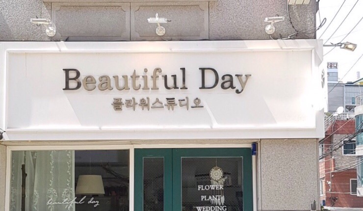 뷰티풀데이플라워 이미지