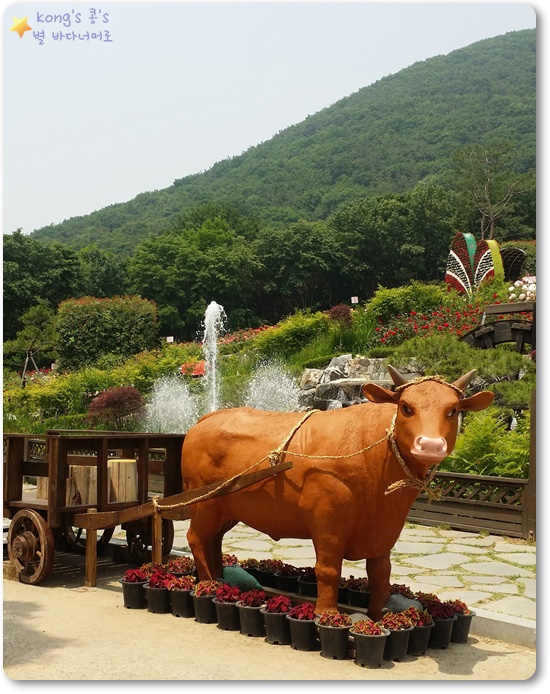 소한마리 이미지