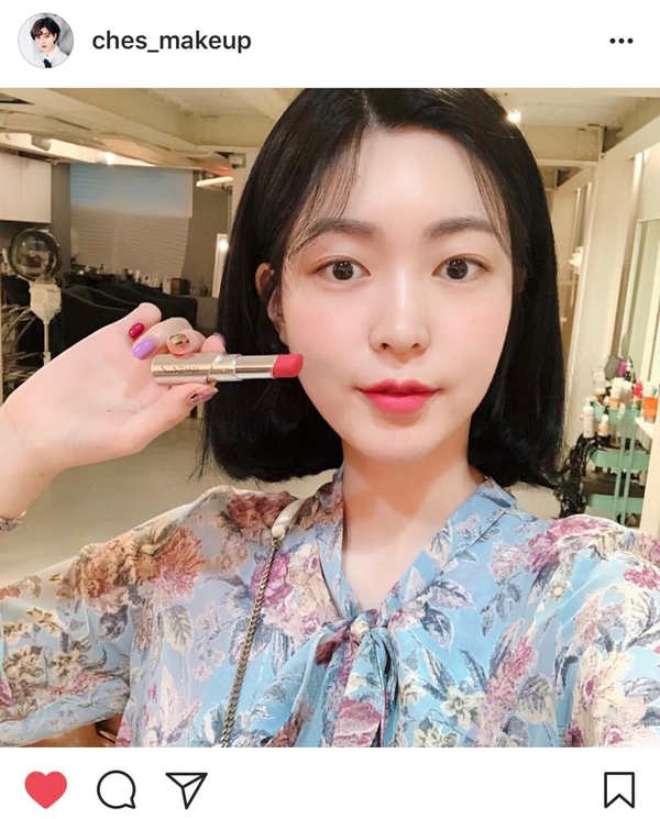 체스(CHES) 이미지