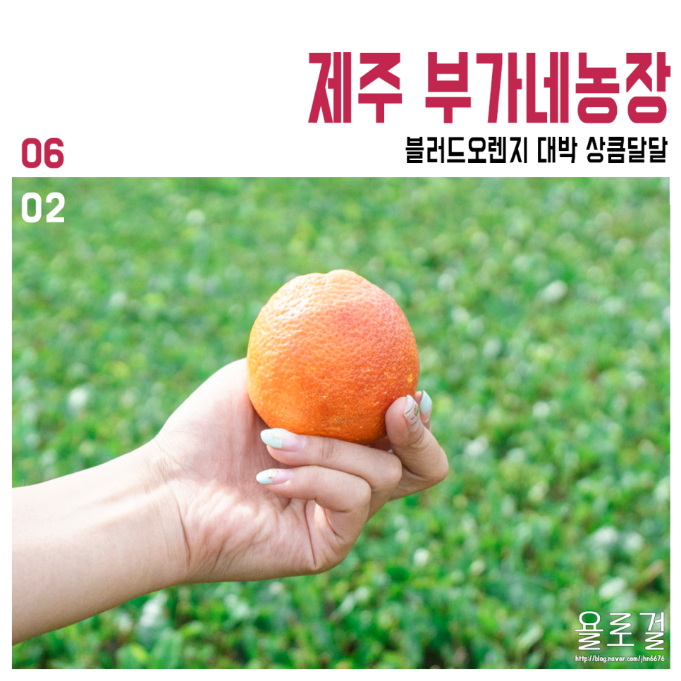 달달920 이미지
