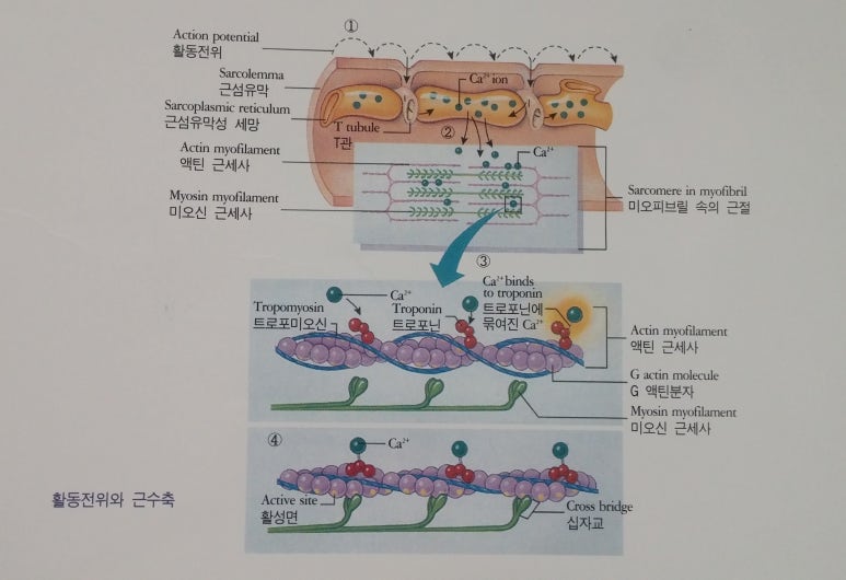 이인에너지 이미지
