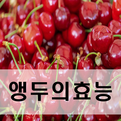 앵두 이미지