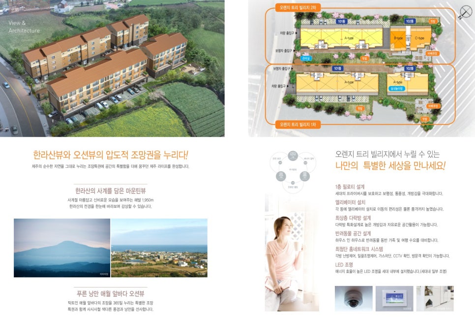 오렌지트리인테리어 이미지