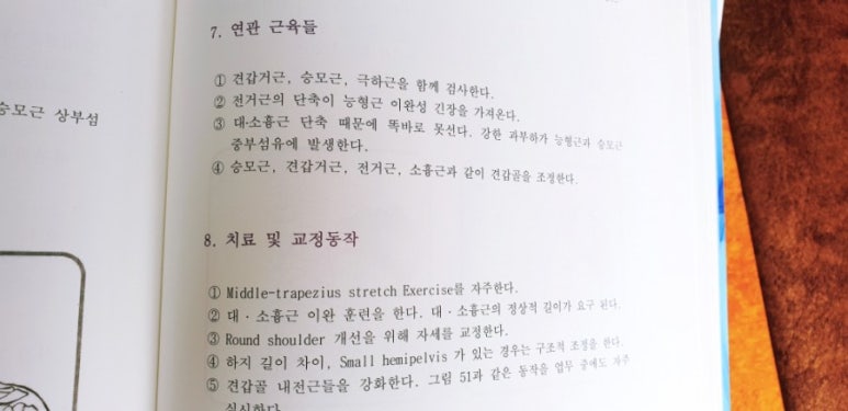 약손테라피 이미지
