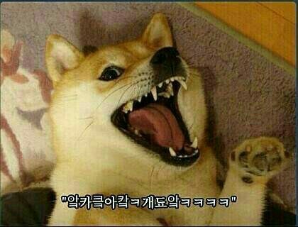 인 이미지
