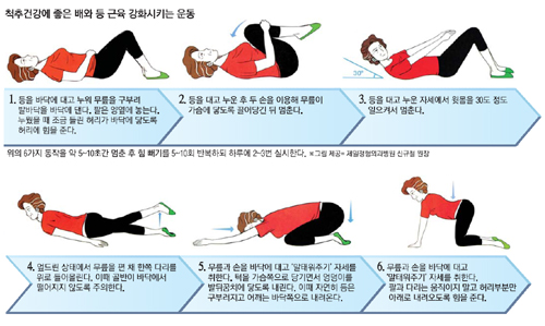 피지오스 이미지