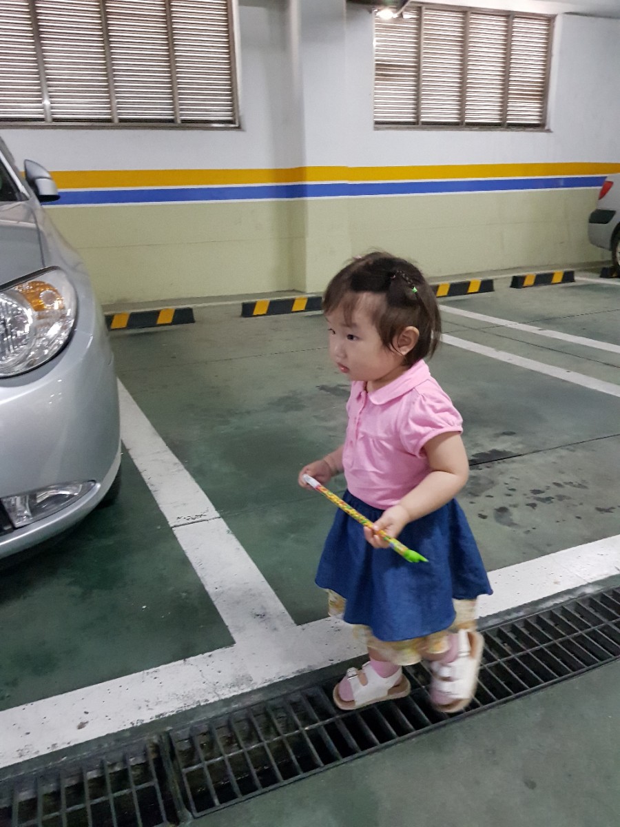 파라파라마트 이미지