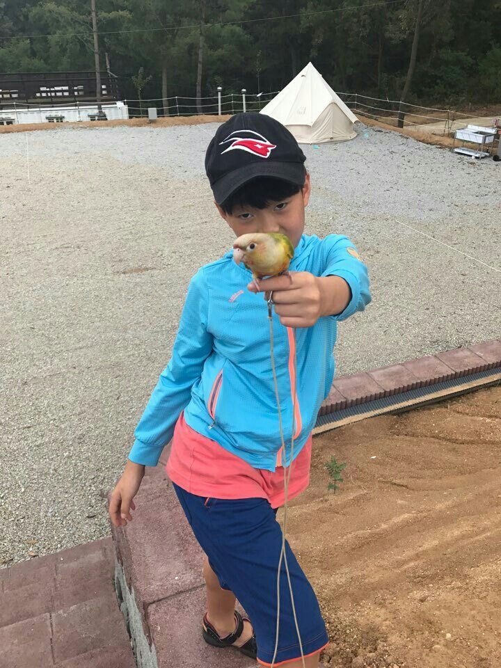 석모도 부자캠핑 이미지