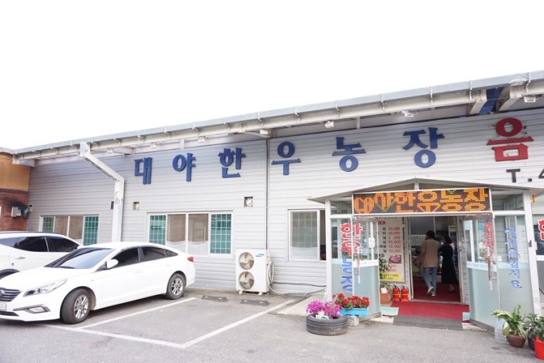 대야정육점 이미지