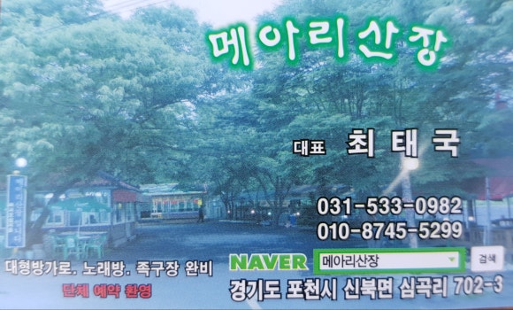깊이울오리 이미지