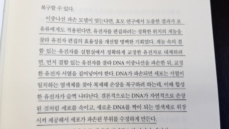 제니퍼 이미지