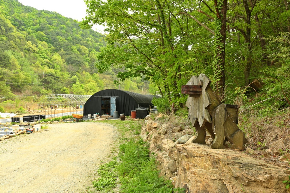 물가에앉아 이미지