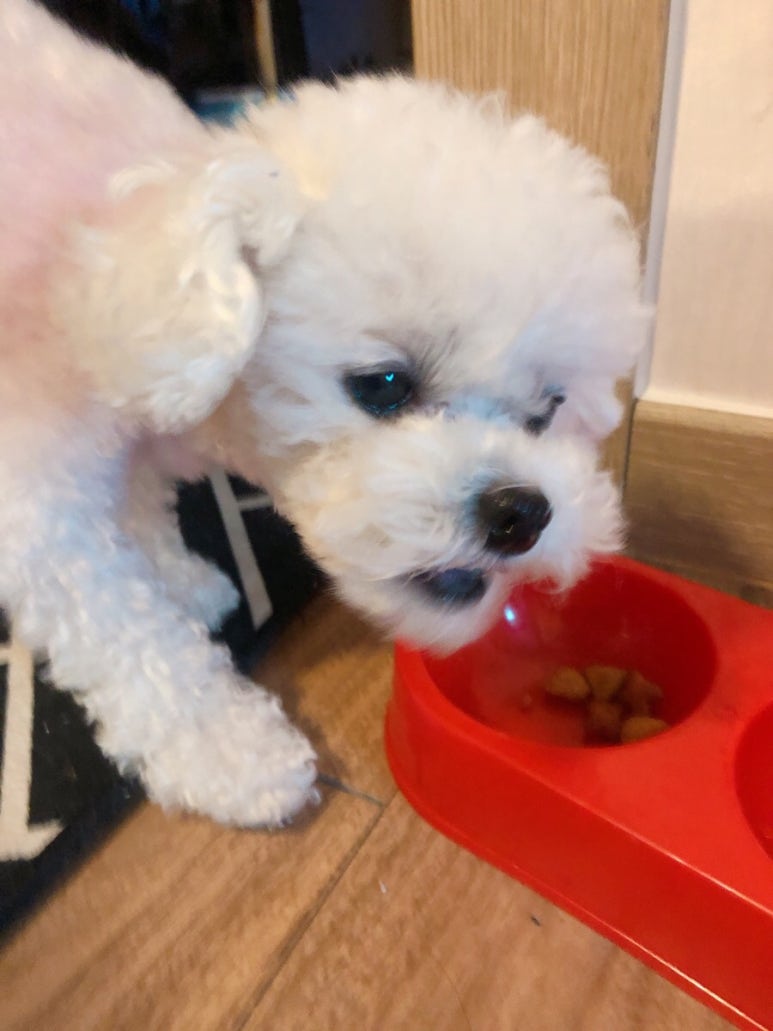 프레쉬365 이미지