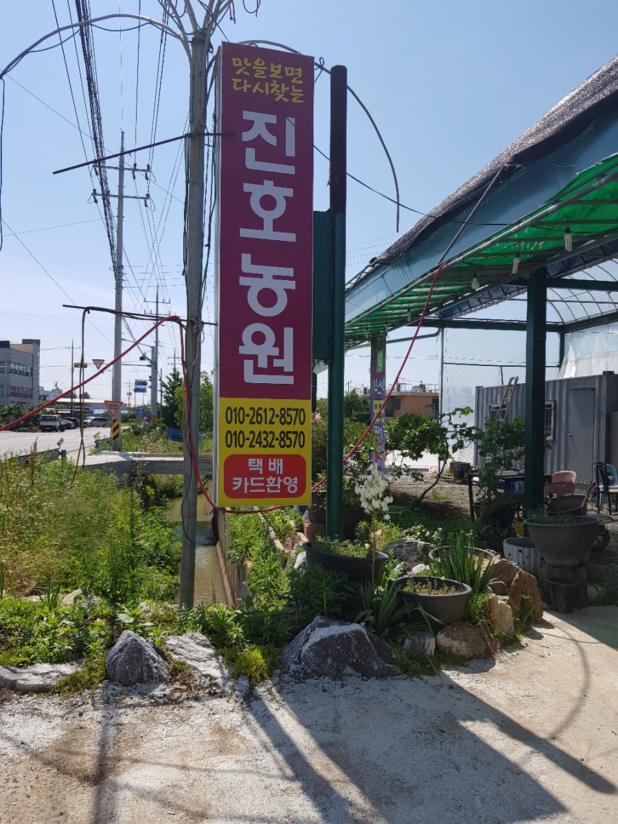 진호농원 이미지