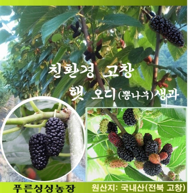 고향펜션캠핑 이미지