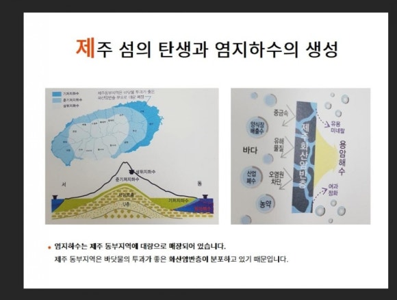 메디루스 이미지