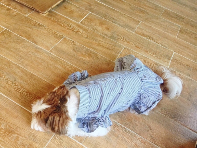 가이펜션 이미지