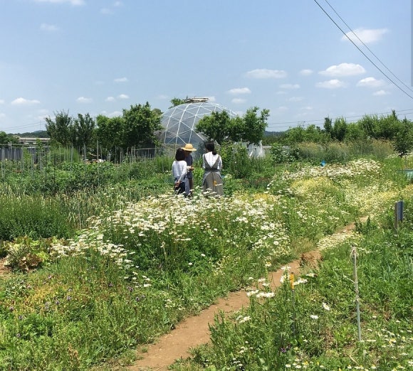 매일찬 이미지