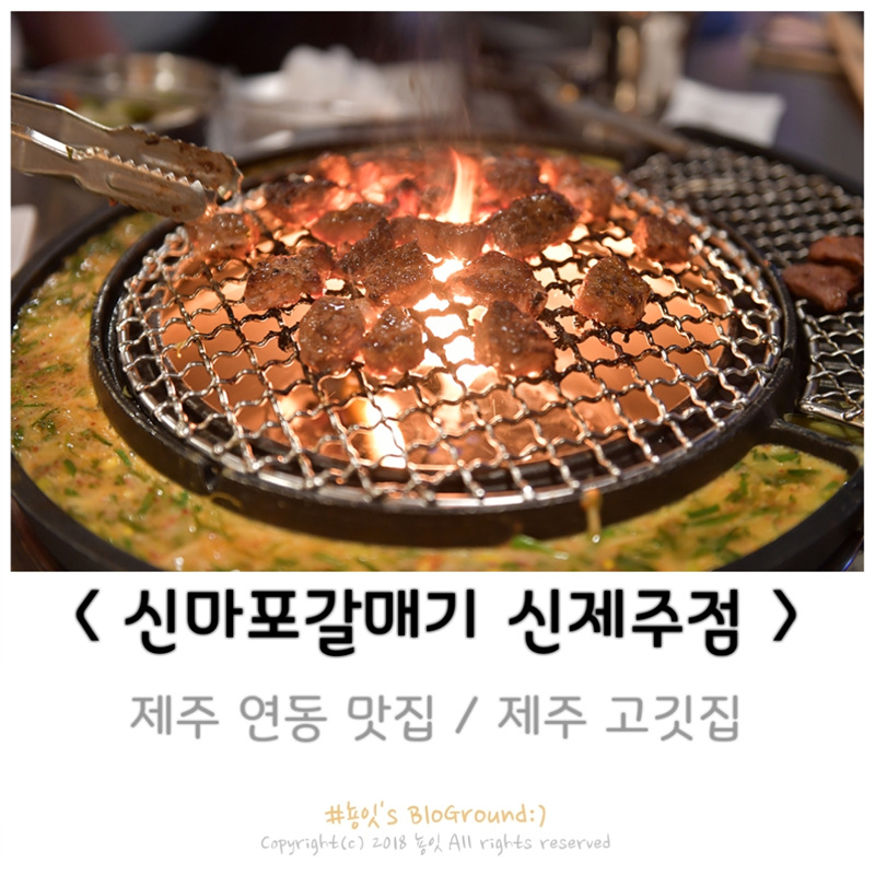 신마포갈매기신제주점 이미지