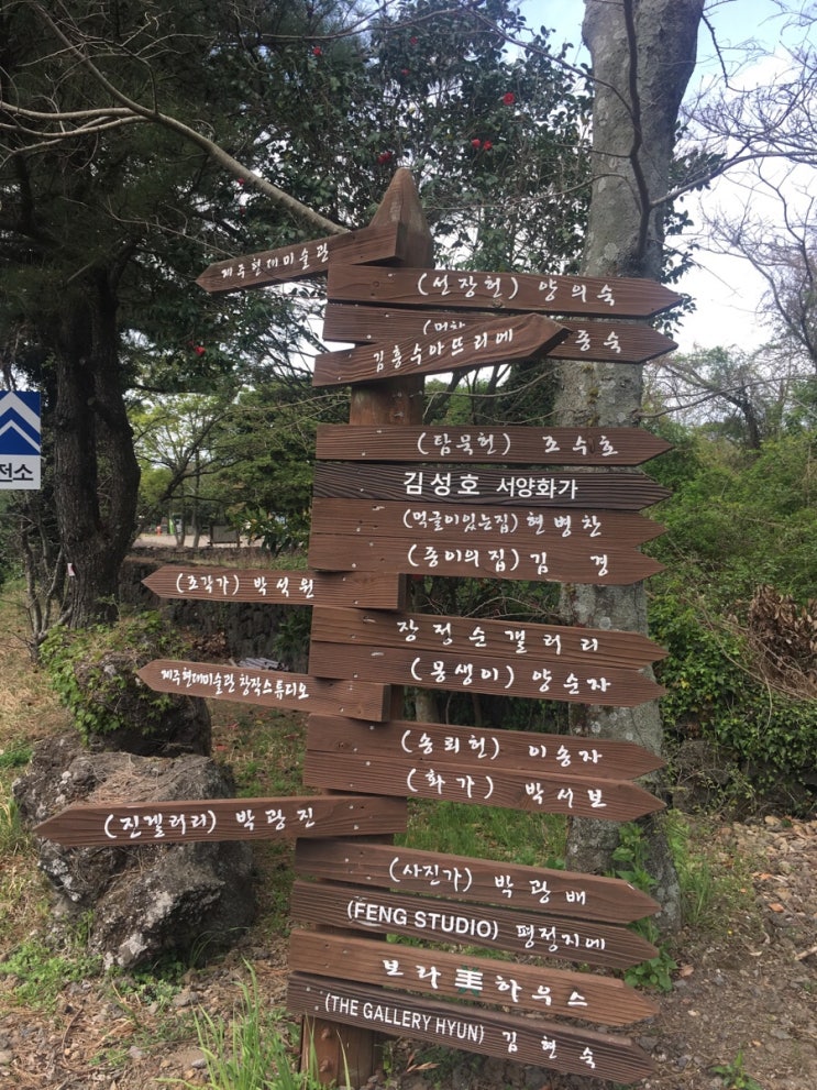 저지살롱 이미지