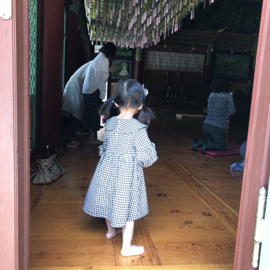 페이퍼가든 이미지