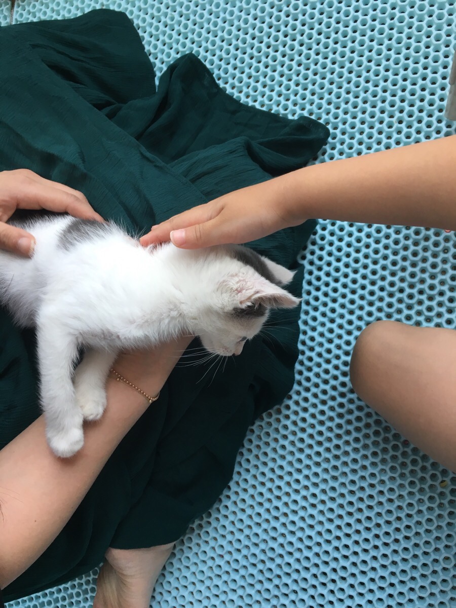 르마래 이미지