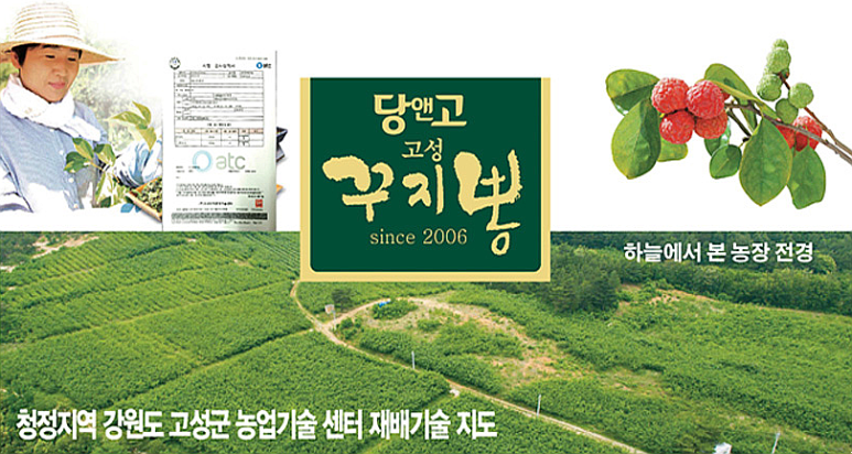 영농조합법인고성꾸지뽕 이미지