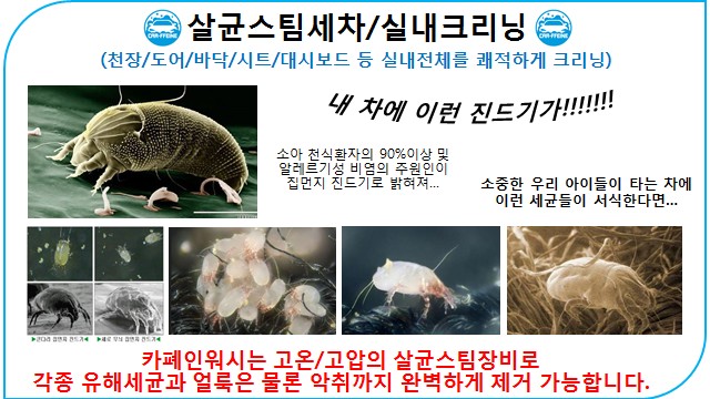 원동세차 이미지