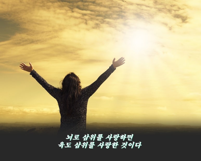 예수선실 이미지
