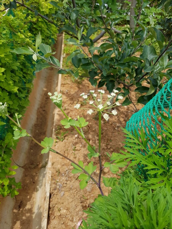 궁평애풍펜션 이미지