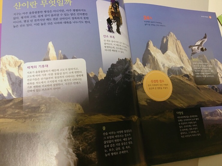 산과숲 이미지
