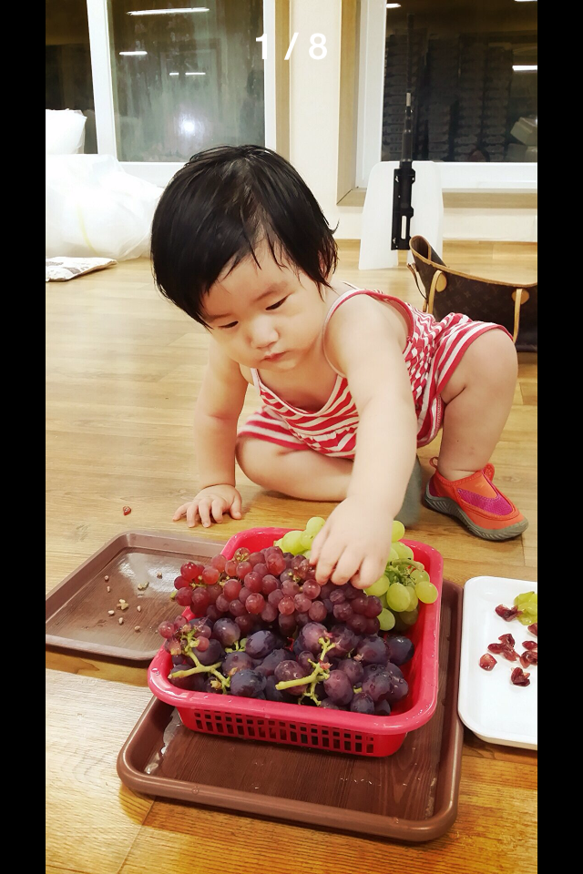 오하포도농원 이미지