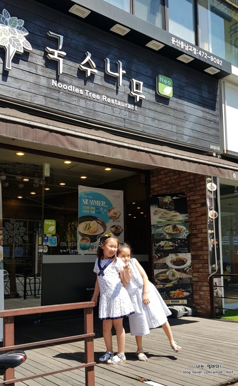 국수나무충남 이미지