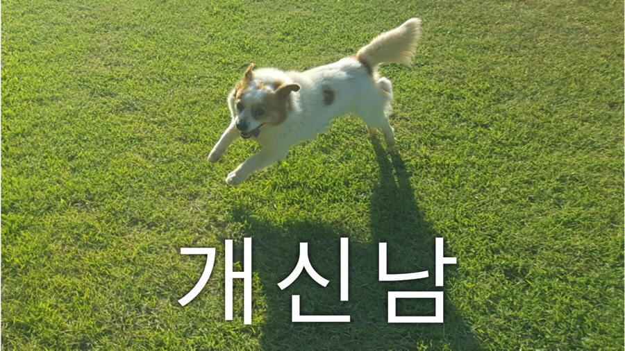 개신남 이미지