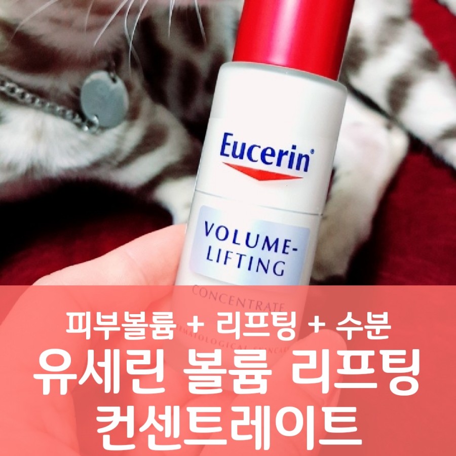 니드잇프로젝트 이미지