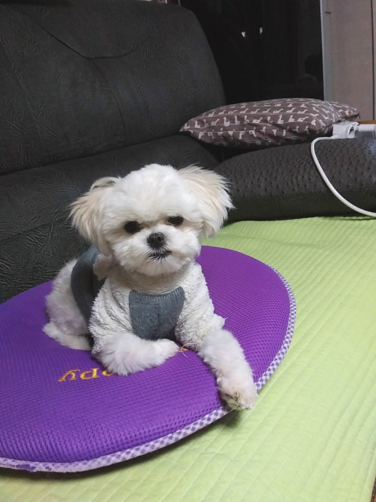 한산스토어 이미지
